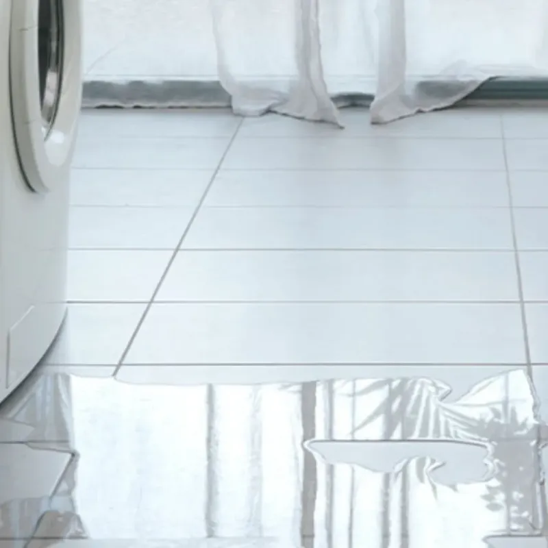 Appliance Leak Cleanup in Blades, DE