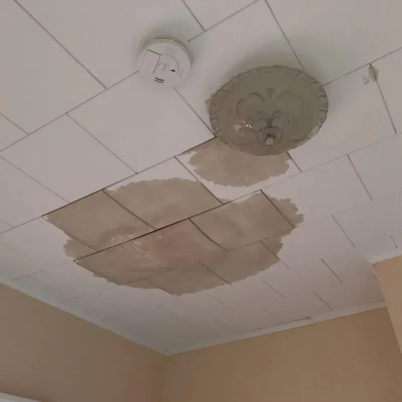 Ceiling Water Damage Repair in Blades, DE