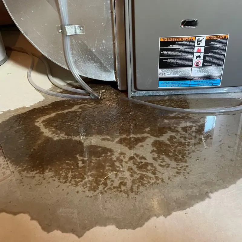 Pipe Burst and Leak Restoration in Blades, DE
