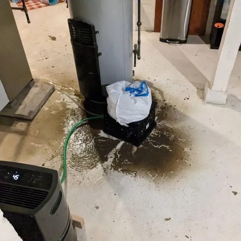 Sewage Backup Cleanup Service in Blades, DE